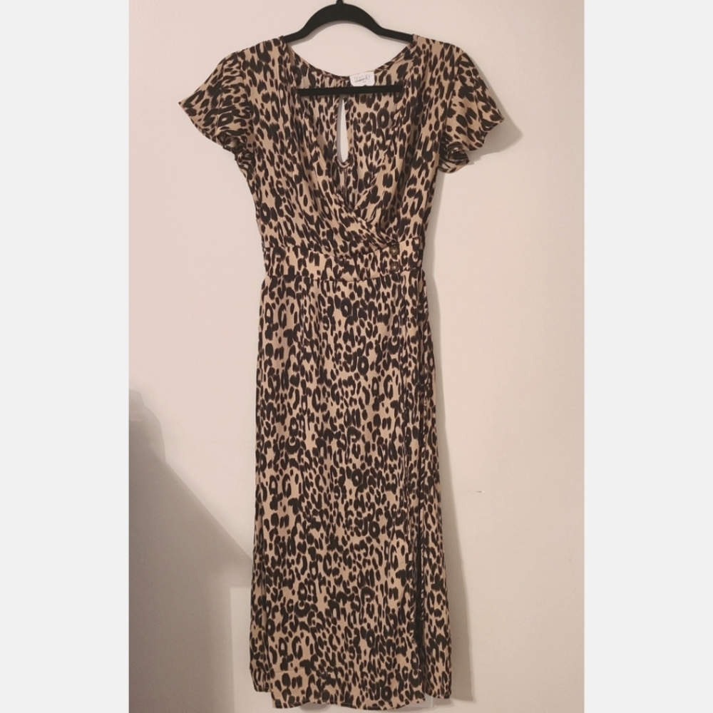 Leopard Print Maxi Dress